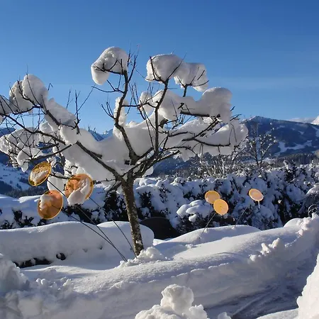 Landpension Koberl 4* Ramsau am Dachstein